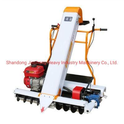 Factory Direct Sale High Quality Grain Collecting and Bagging Machine