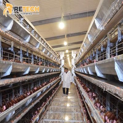 H Type Automatic Layer Chicken Cage for Poultry Farm