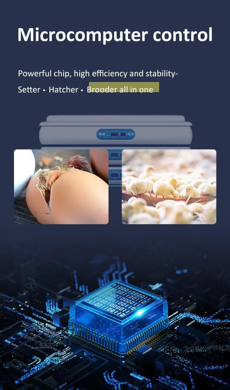 Hhd H720 Egg Incubator Automatic Temperature Control Plastic Inner Tray Hatchery Equipment