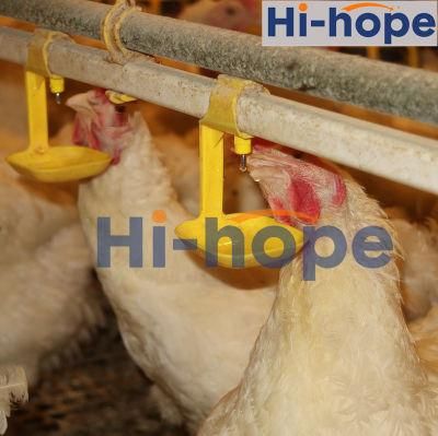Automatic Layer Cage and Broiler Poultry Drinker