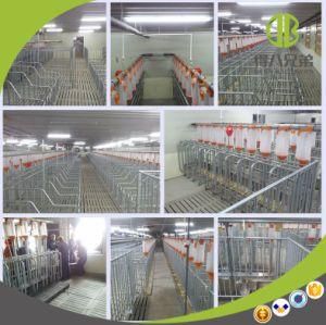 Pig Farm House Equipment Galvanized Pig Gestation Crate