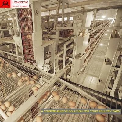 Longfeng 1 Year Warranty Poultry Farm Layer Cages Chicken Water Drinkers