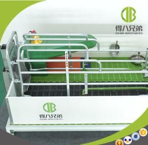 Hot Sale High Quality High Survival Rate Used Farrowing Crates Sow Stall