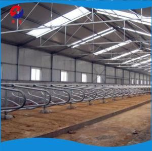 Cow Free Stall for Cow Farm Free Sample