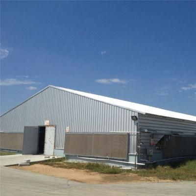 Full Automatic Hot Sale New Designed Poultry Farm Equipment
