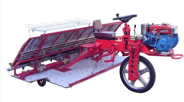 8 Row Walking Rice Transplanter