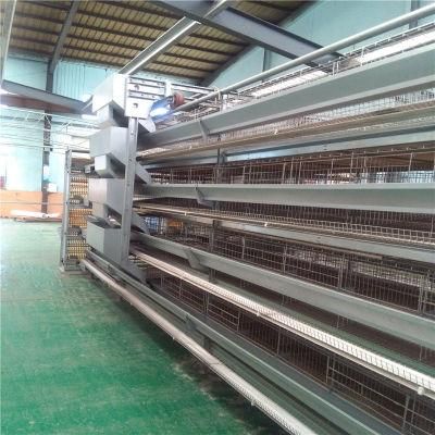 Technical Easy Built Prefab/Prefabricated Steel Structure Chicken Coop with Certificates