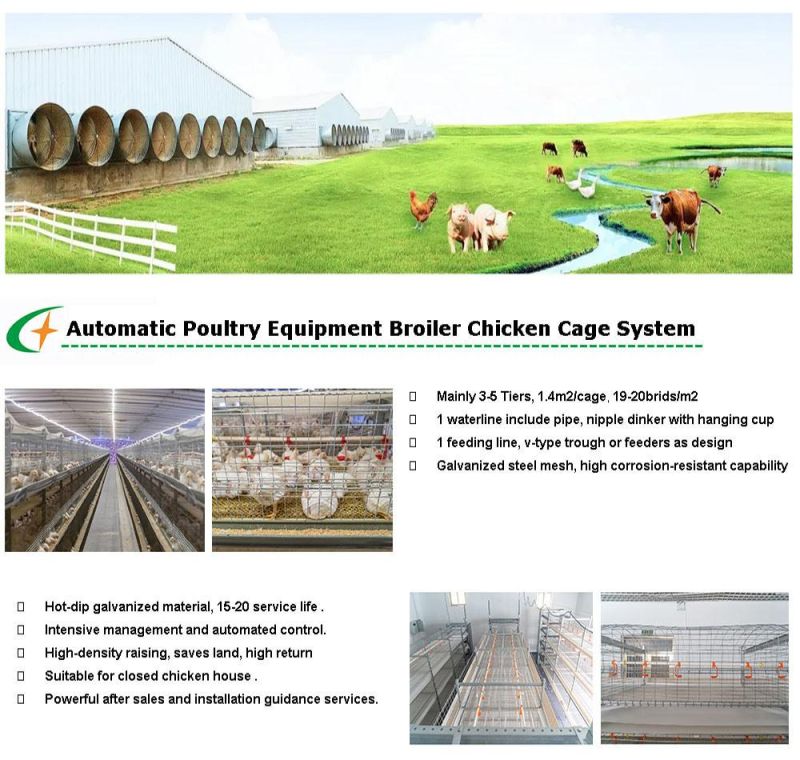 Industrial Commercial Poultry Farming Equipment Battery Chicken Feeding System Broiler Cage