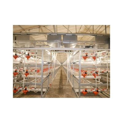 Cheap and High Quality Chicken Feeding and Drinking Layer Cage Used in Poultry Farm