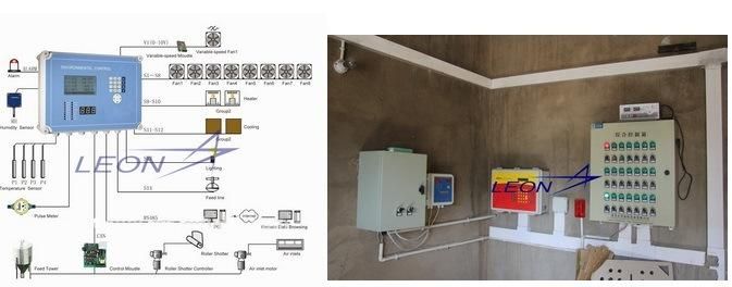 Factory Direct Design Automatic Poultry Farming Broiler