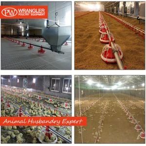 Poultry Project Complete Farm Equipment for Sale