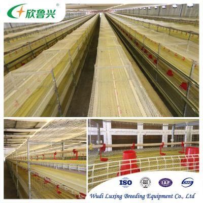 Hot Galvanized a Type Poultry Farm Cage 90/96/120/128/160birds Laying Chicken Battery Layer Poultry Cage for Sale