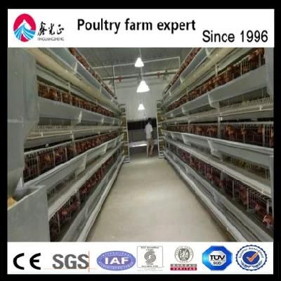 Poultry Breeding Equipment Automatic Layer Chicken Cage