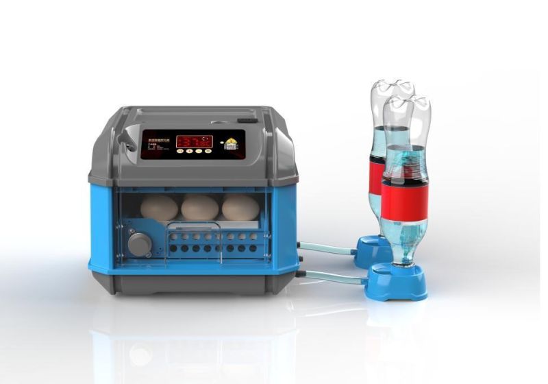 Fully Automatic New Automatic Adding Water System Mini Egg Incubator on Sale