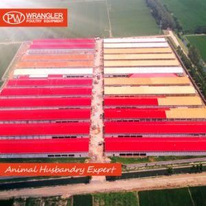 Complete Set Poultry Farm Rearing Equipment for Chicken Farm