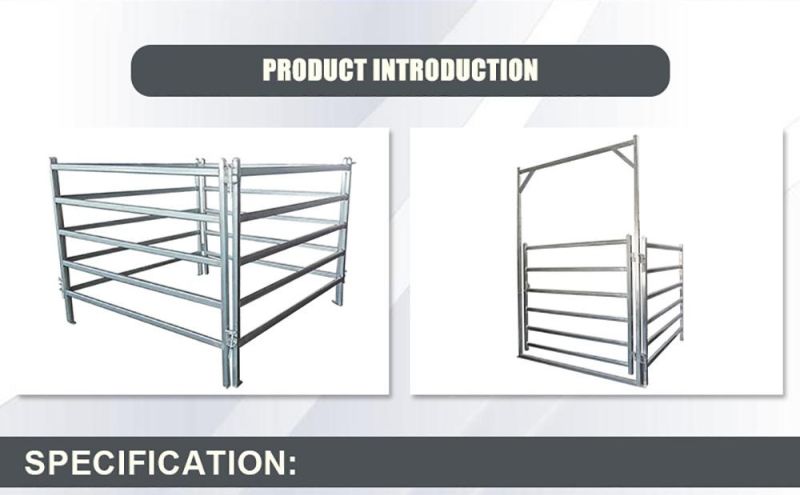 Made in China Hot DIP Galvanized Round Rail Livestock Fence Corral Bullpen Temporary Fence