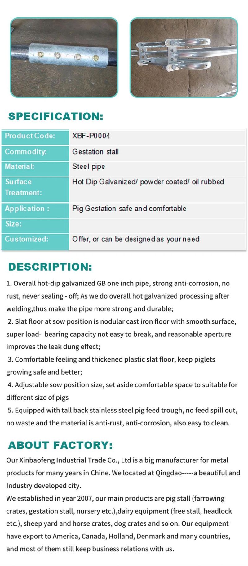 Hot Sale Gestation Stall for Sow