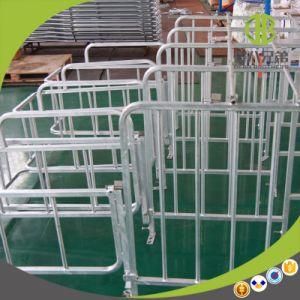 Hot Galvanized Steel Good Quatlity Pig Stall Gestation Stall