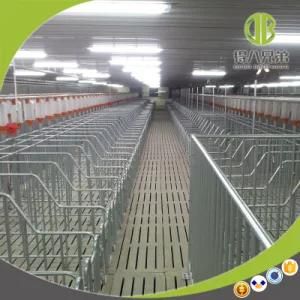 Good Quality Single Pig Breeding Stall for Pig Farm Equipment
