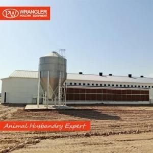 Complete Set Poultry Farm Equipment for Broiler Shed