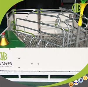 Pigg Farm Equipment China Pig Farm Farrowing Crate