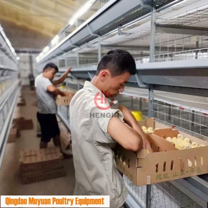 Completed Galvanized H Frame Battery Chicken Poultry Farm/Farming Livestock Machinery /Equipment for Meat Broiler Cage with Manual Birds-Harvest