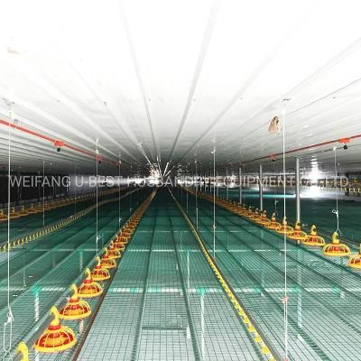 Prefab Chicken Poultry Farm Machinery House Feeder and Water Equipment