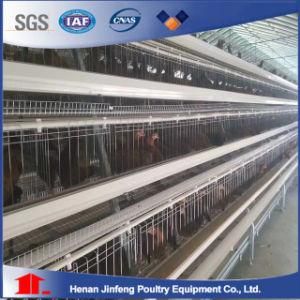 Poultry Farm Equipment Automatic Chicken Layer Battery Cage for Sale
