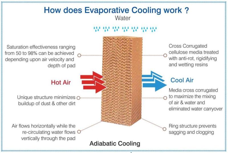 High Hydroscopicity Craft Paper Wet Curtain Cooling Pad for Poultry/ Commercial Greenhouse Cooling/ Ventilation