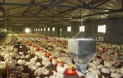 Chicken Pen System Automatic Floor Raising Equipment