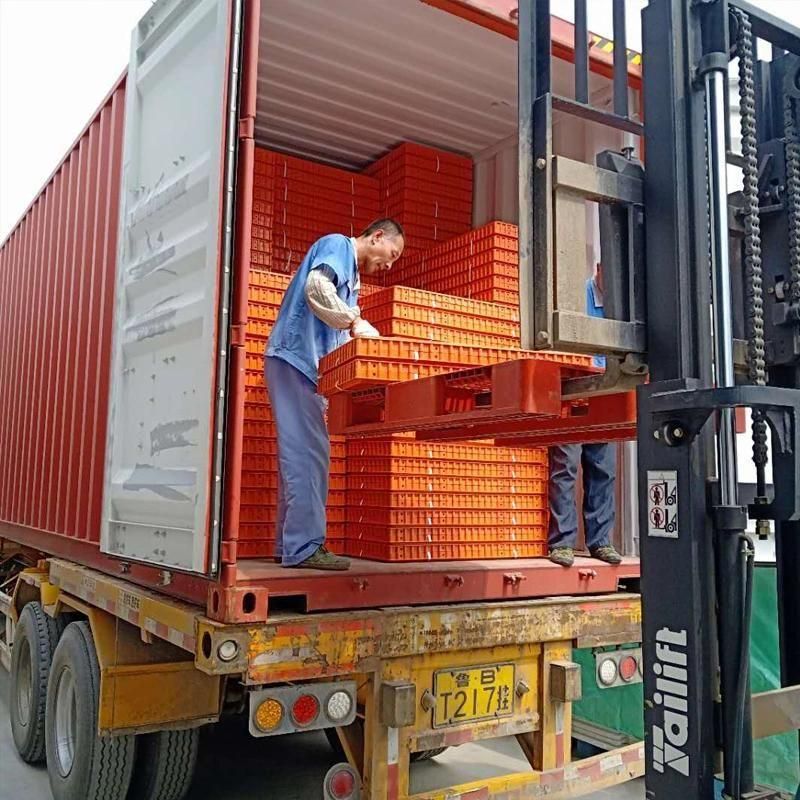 Orange and White Color Plastic Transport Crate for Chicken Cages Broiler Cage