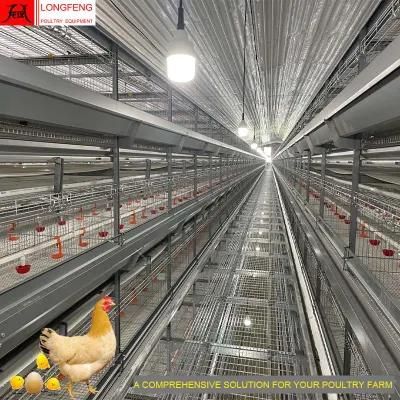 Good Price High Density Stable Running Service Mature Design Professional 240 Chicken Cage