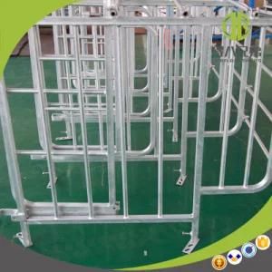 Galvanized Steel Good Quality Factory Gestation Stall for Pigs
