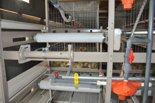 Automatic Poultry Chicken Bird Cages for Layer Broiler