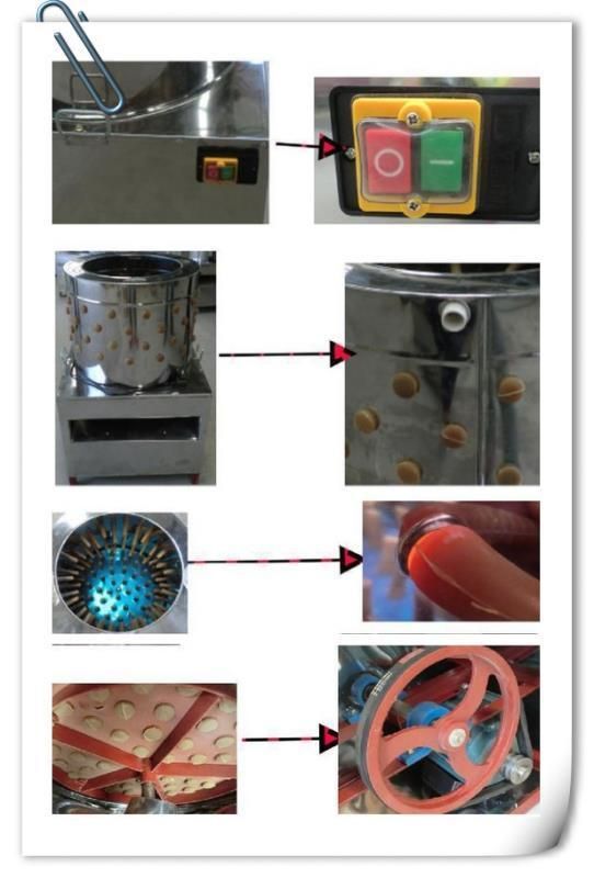 Chicken Feather Removal Poultry Plucker TM-60 Capacity 10kg