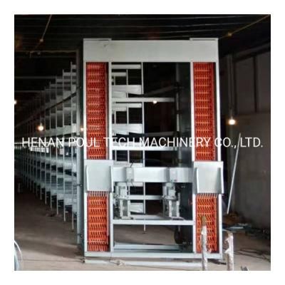 a Type Layer Cage Chicken Cage with Automatic Egg Collecting System