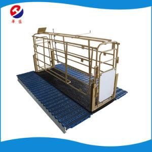 Modern Design Pig Farm Durable Hot DIP Galvanized Sow Gestation Crates /Free Sample