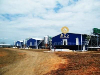 New Design Steel Structure Poultry House/Layer House