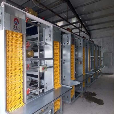 Best Quality Full Automatic Steel Chicken House with Self Equipment