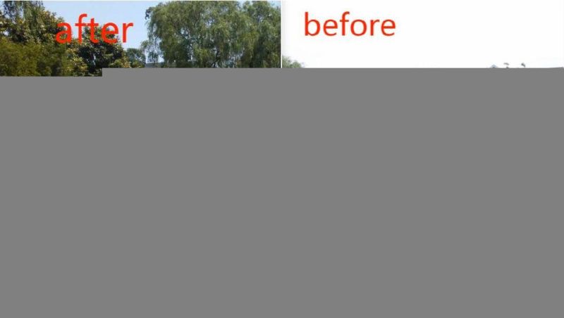 Lake Cleaning Electric Duckweed Garbage Collection Boat Aquatic Weed Harvester