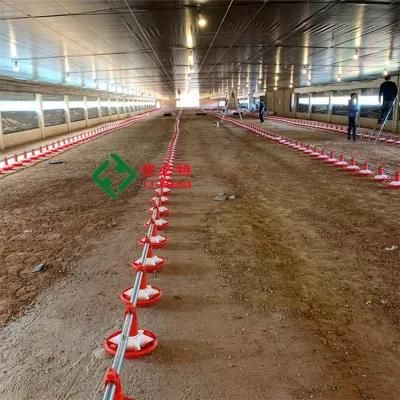 Modern High Quality Automatic Chicken Farm Poultry Equipment