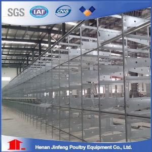 Solid Steel Wire H Type Poultry Battery Cage Equipment