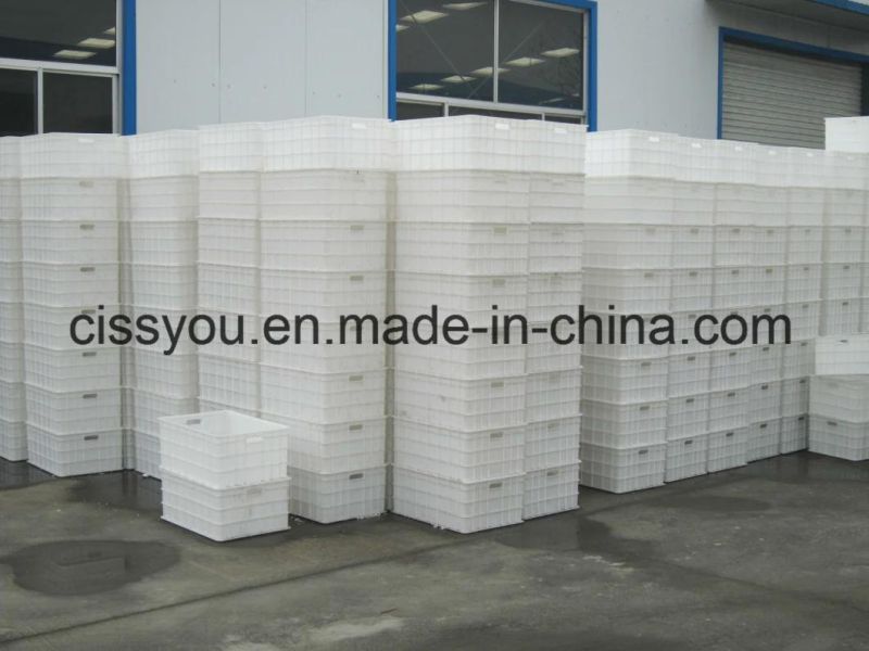 Hydroponic Cattle Sheep Horse Barley Fodder Grass Growing Machine