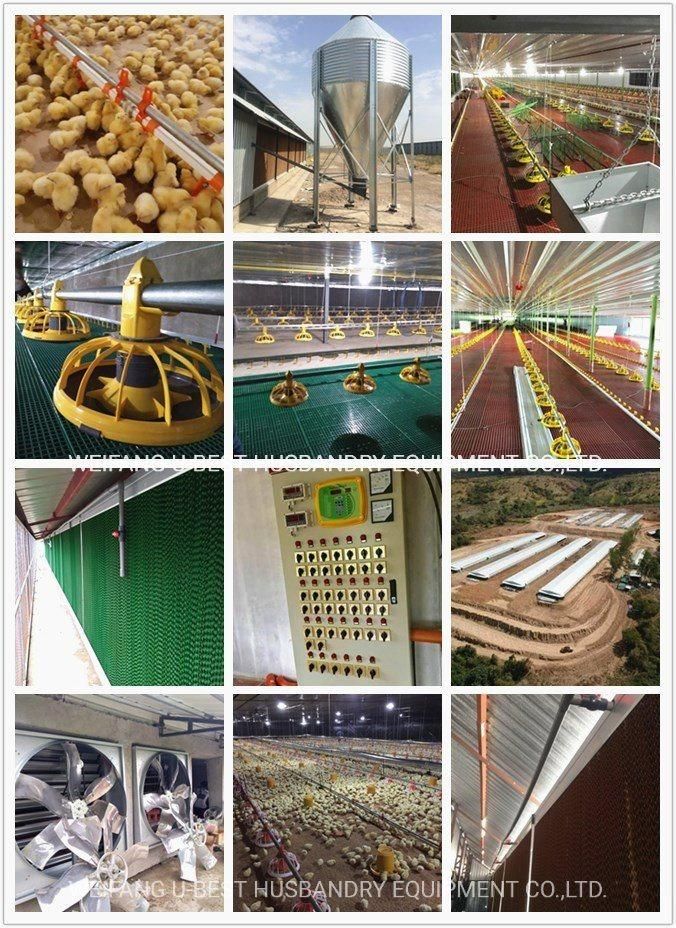 Good Price Poultry Farm House Design with Full Automatic Chicken Farm Equipment