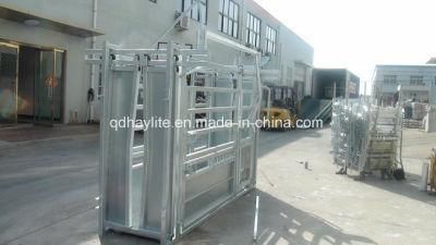 Powder Coated or Galvanized Cattle Chute with Weight Scale