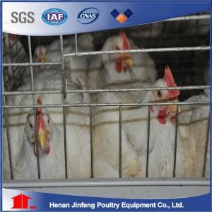 Hot Sell a Type Automatic Broiler Poultry Farming Equipment for Sale in India/Philippines/ Africa