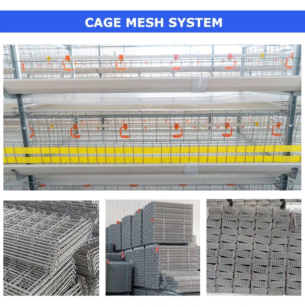 Hot Galvanized Broiler Chick Cage Broiler Chickens Cage for Sale