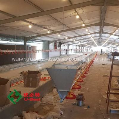 Modern Chicken Coop and Broiler Breeding Equipment/Automatic Drinking Water for Chickens