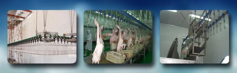 90° /180° Drive Conveyor Automatic Poultry Meat Processing Slaughtering Equipment