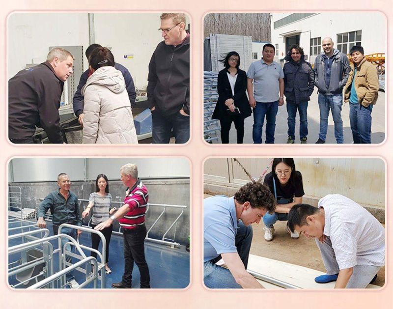 Quality Assurance Safety Environmental Protection Circular Fence/Cattle/Bulls/Cattle/Corral/Paddock Fence